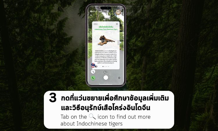 screenshot of instructions