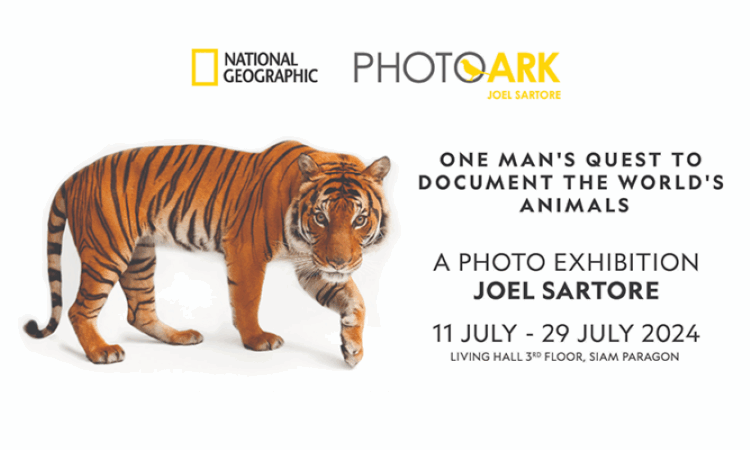 Event promotion next to image of tiger