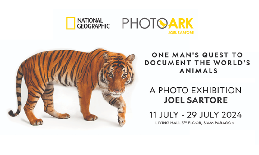 Event promotion next to image of tiger